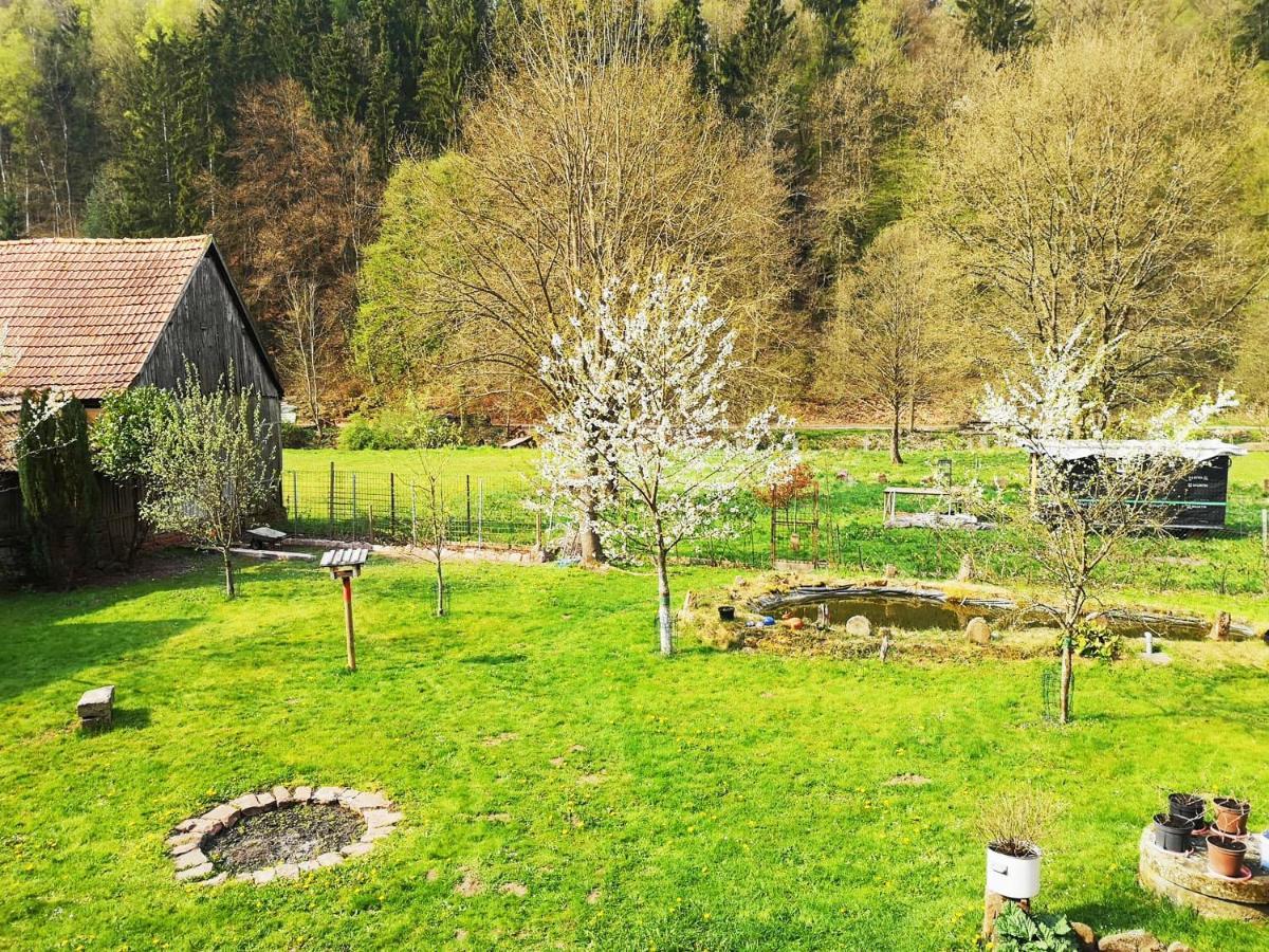 Sinnglueck